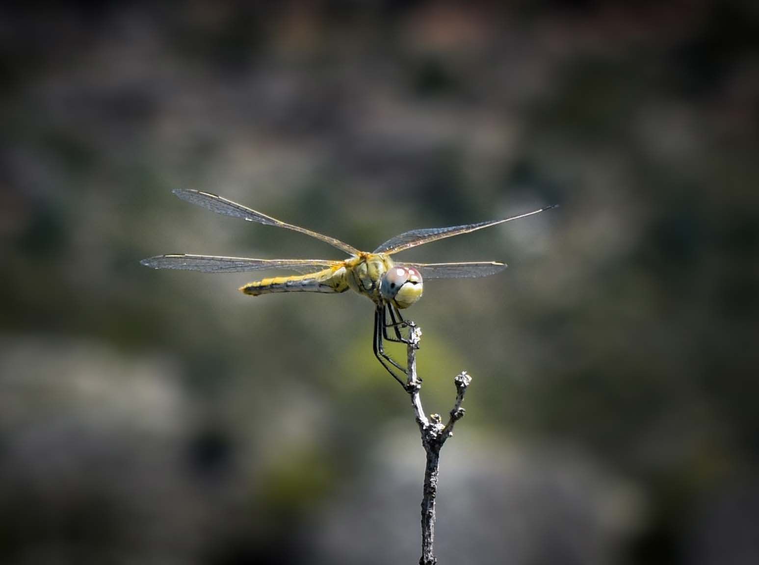 Fotografía — imagen 17
