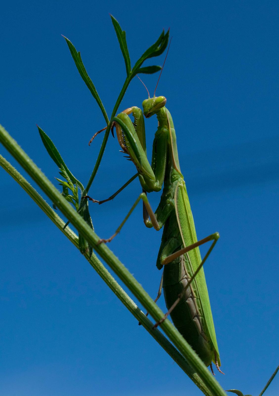 Fotografía — imagen 26