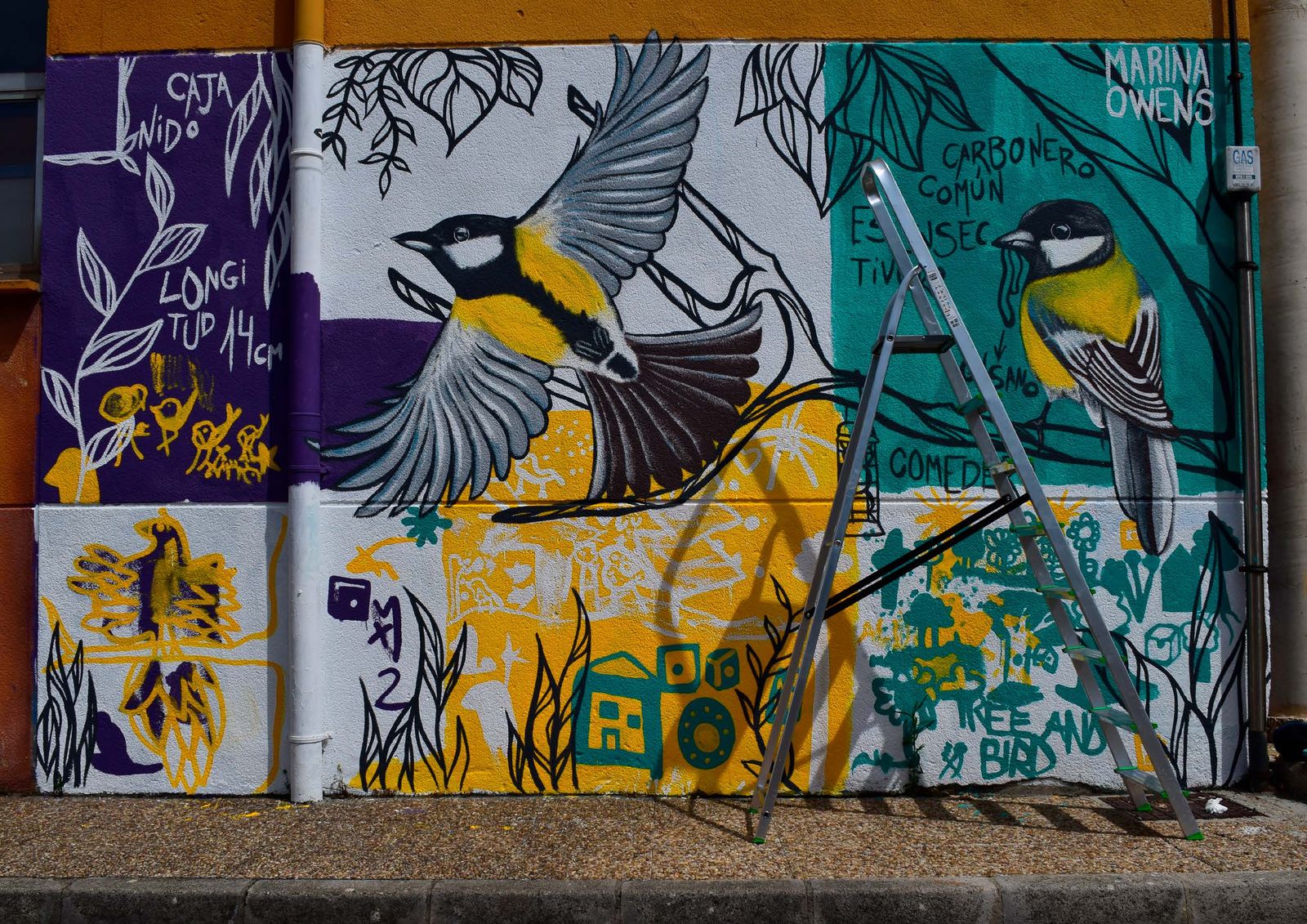 Mural Carbonero común — imagen 3